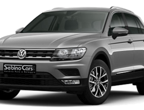 Volkswagen TIGUAN 1.6 Tdi 115CV Business